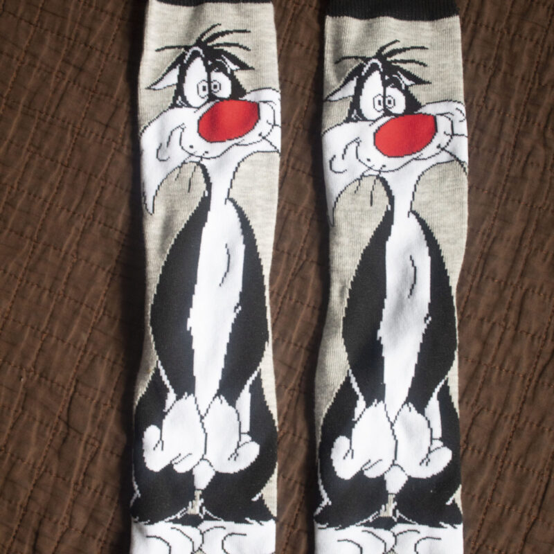 Sylvester the Cat