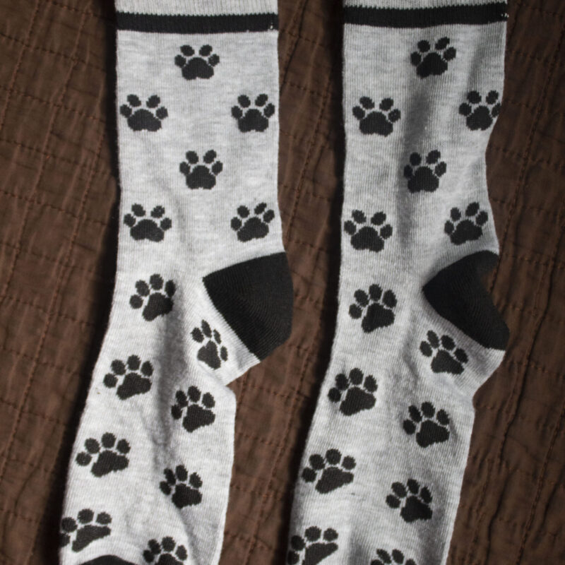 Paws