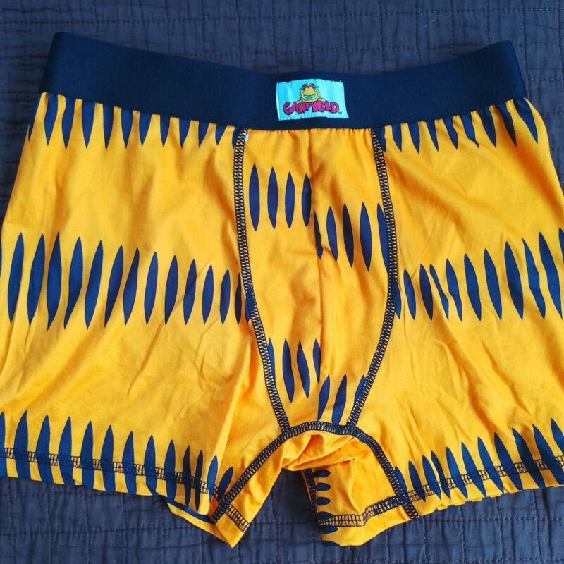 Garfield Men’s Boxer Briefs