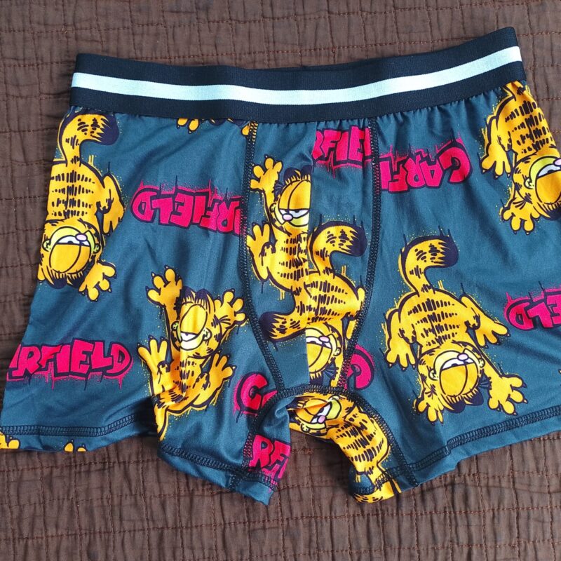 Garfield Men’s Boxer Briefs